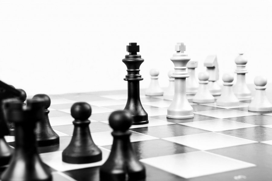 Schach-Beruf-Karriere