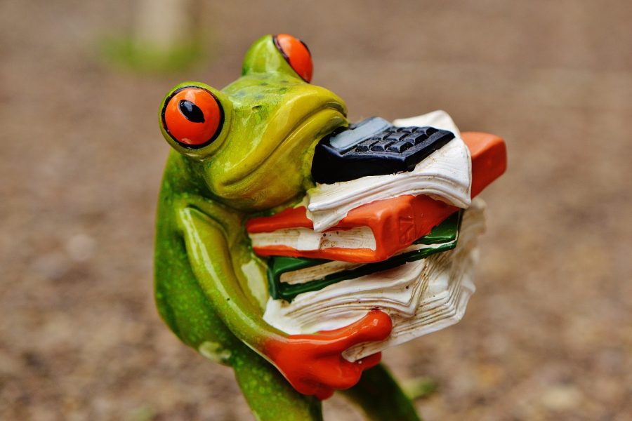 Coaching im Berufsalltag